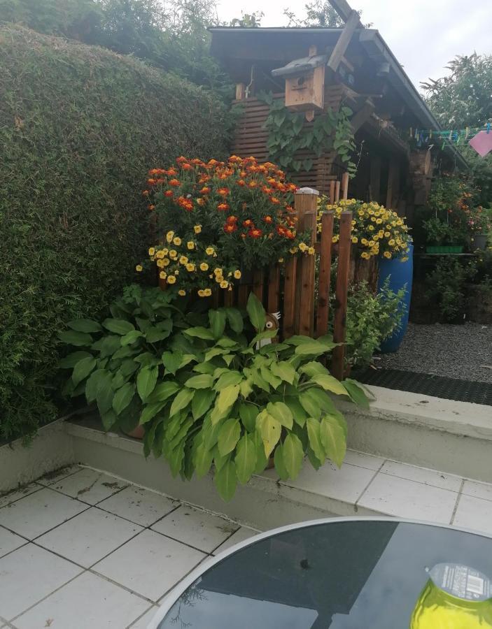 Ferienwohnung Grete Trier Dış mekan fotoğraf